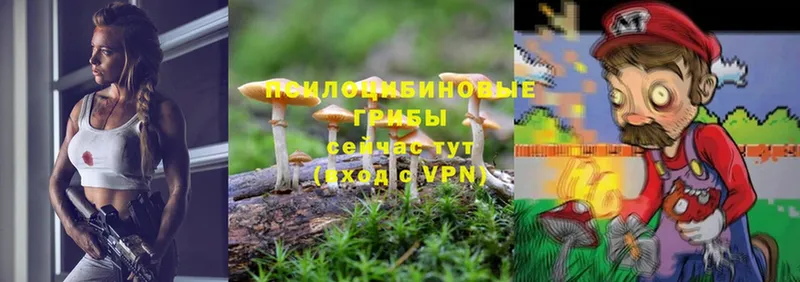 Псилоцибиновые грибы Magic Shrooms  hydra ТОР  Ермолино 